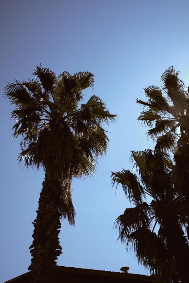 The Roof Garden - *