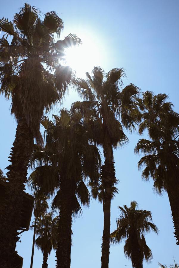 The Roof Garden - * Frattamaggiore